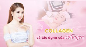 Collagen và tác dụng của collagen