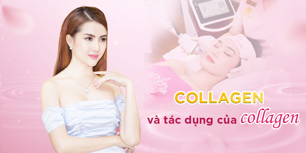 Collagen và tác dụng của collagen